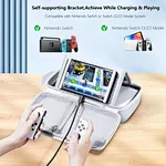 Nintendo switch travel case